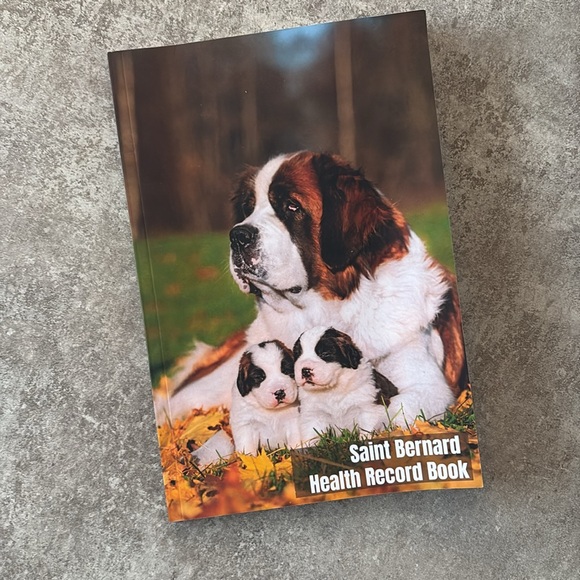 No Pull Dog Harness Adjustable Lightweight, No Choke, Leather, Heavy Duty - Picture 11 of 13